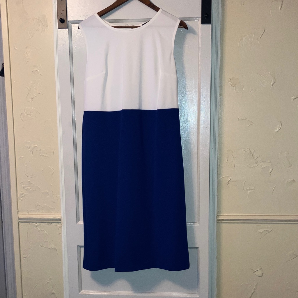 Tiana B. White And Blue Dress